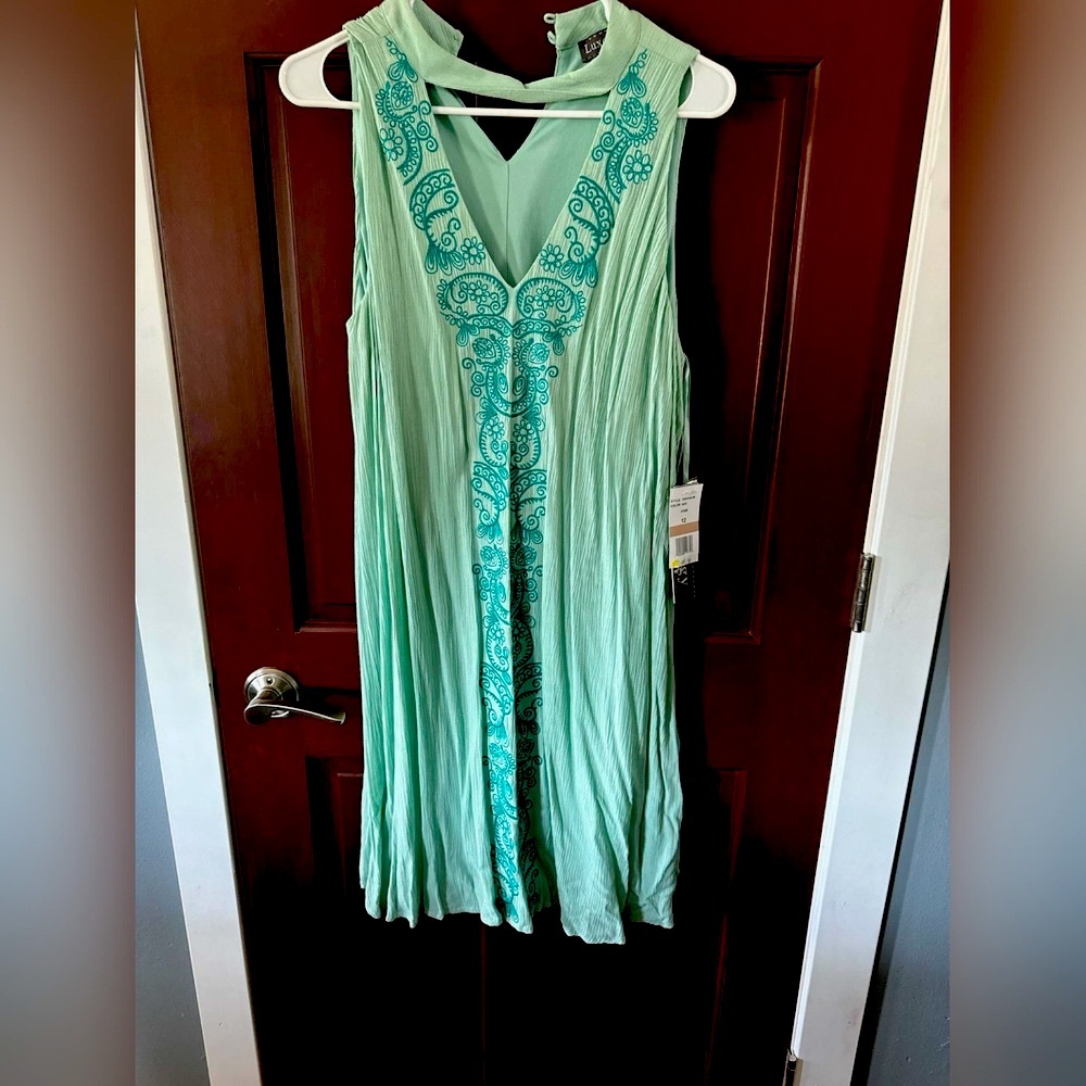 NWT Mint Green Loose Dress.
